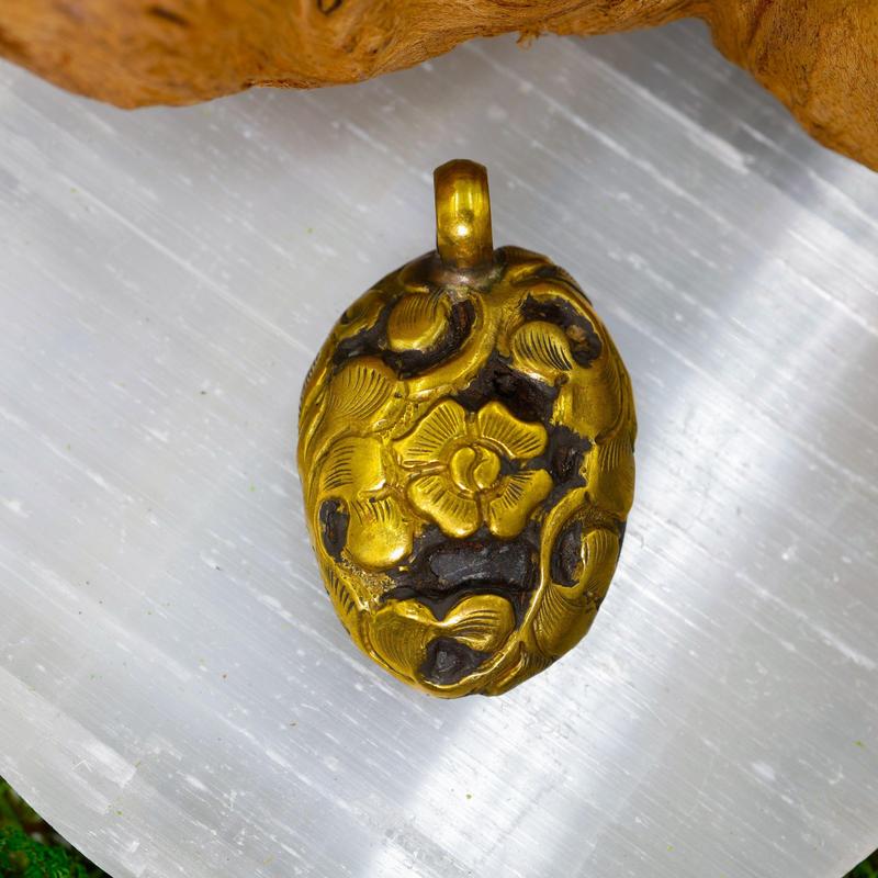 Ammonite Fossil Pendant || Tibetan Shaligram Fossil Jewelry || Trunk Show-Nature's Treasures