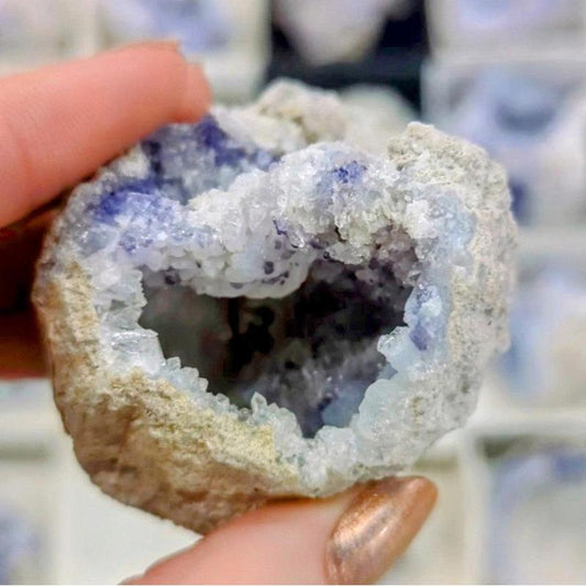 Chalcedony With Fluorite Cluster Geode || Trunk Show-Nature's Treasures