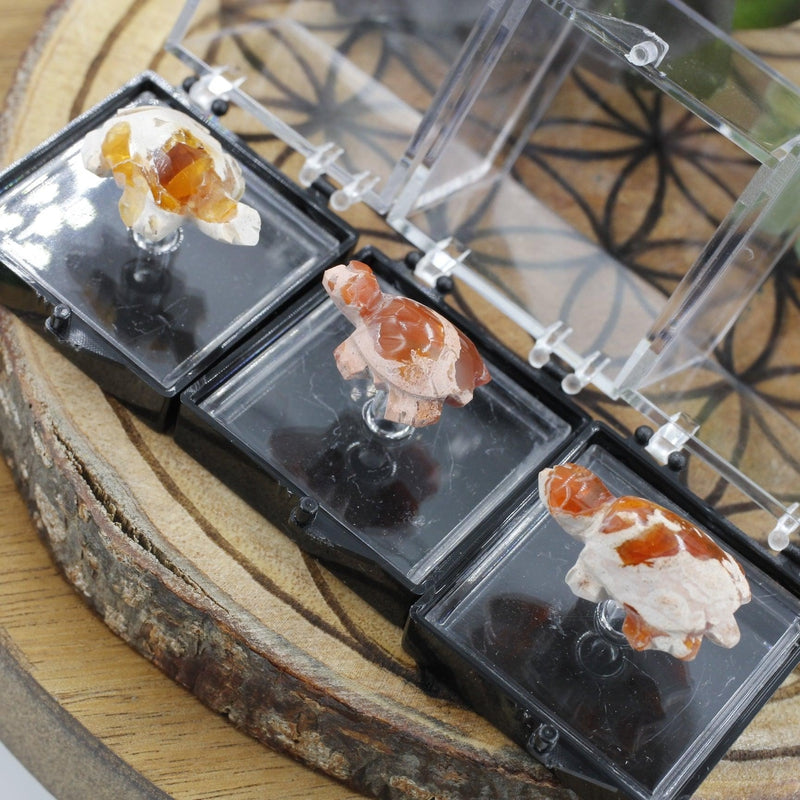 Fire Opal Turtle Carving || Passion, Creativity || Chihuahua, Mexico-Nature's Treasures