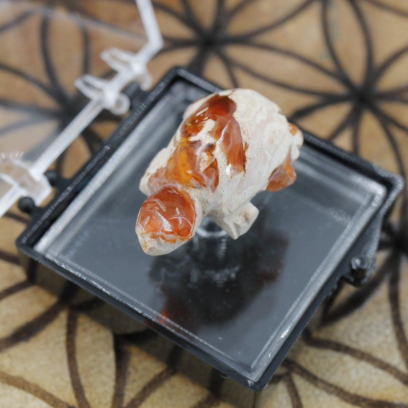 Fire Opal Turtle Carving || Passion, Creativity || Chihuahua, Mexico-Nature's Treasures