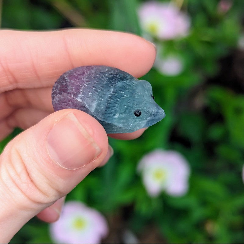 Fluorite Hedgehog Crystal Carvings-Nature's Treasures