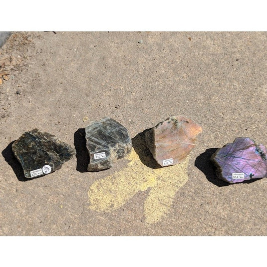 Half Polished Flashy Labradorite Slabs || Madagascar-Nature's Treasures