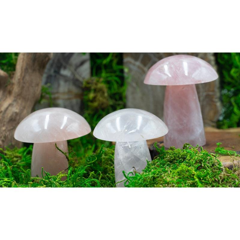 High Quality Rose Quartz Crystal Mushrooms || Self-Love, Emotional Healing || Madagascar