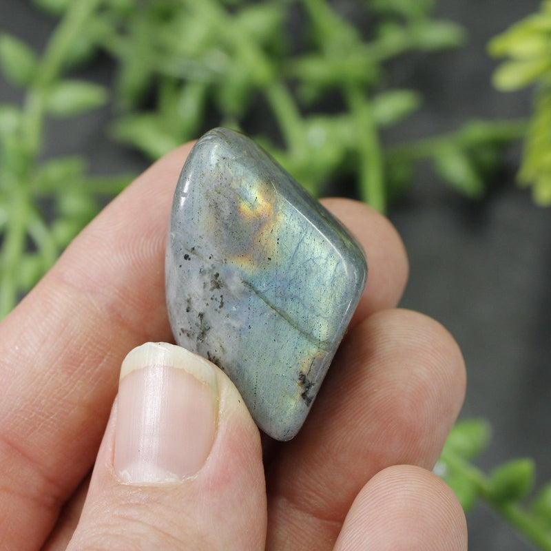 Labradorite Tumbled Stone || Small-Nature's Treasures