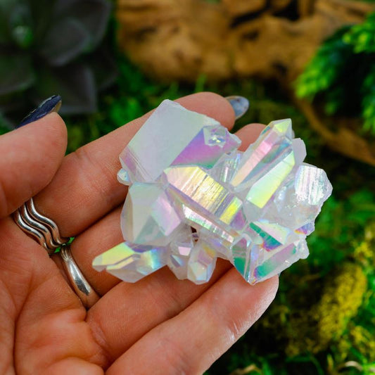 Large Angel Aura Quartz Clusters || Trunk Show-Nature's Treasures