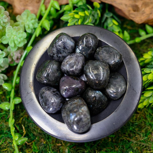 Larvikite Tumbled Stone-Nature's Treasures