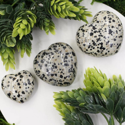 Natural Dalmatian Jasper Pocket Hearts || Protection, Grounding || Mexico-Nature's Treasures