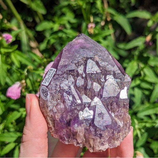 Natural Elestial Amethyst Clusters || Brazil-Nature's Treasures