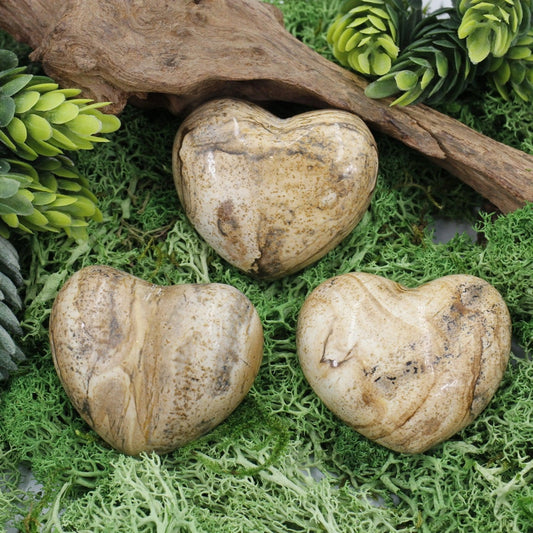 Natural Picture Jasper Pocket Hearts || Grounding, Focus, Spiritual Growth || China-Nature's Treasures