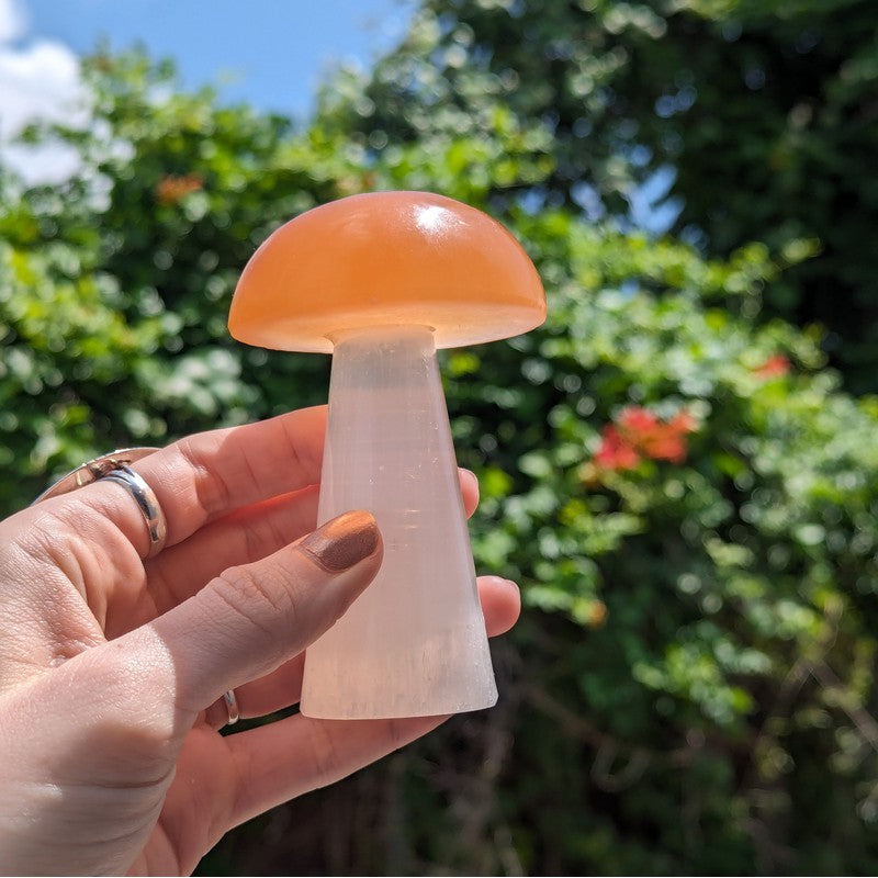 Orange Selenite Mushroom Carvings || Trunk show 2024-Nature's Treasures