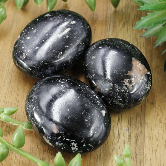 Polished Black Tourmaline Palm Stones || Protection || India-Nature's Treasures