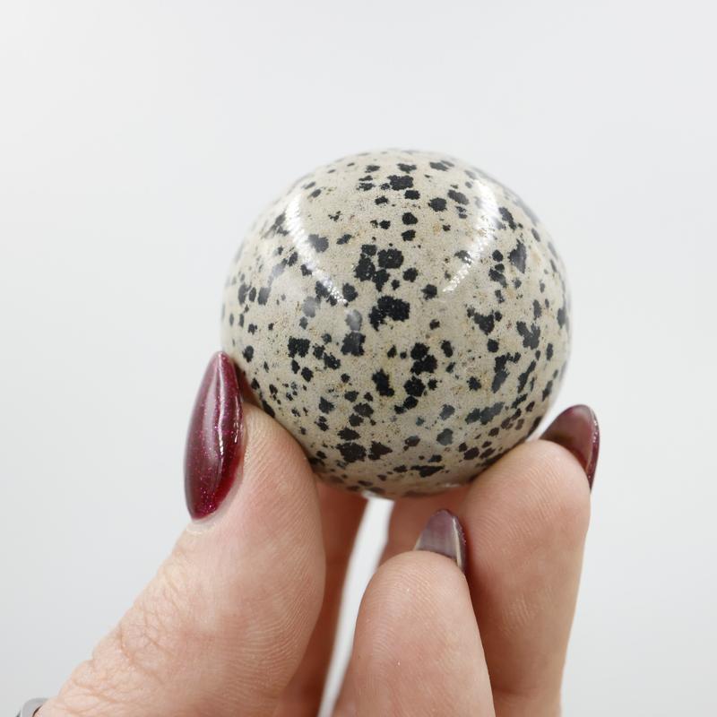 Polished Dalmatian Jasper Sphere || 40 MM-Nature's Treasures