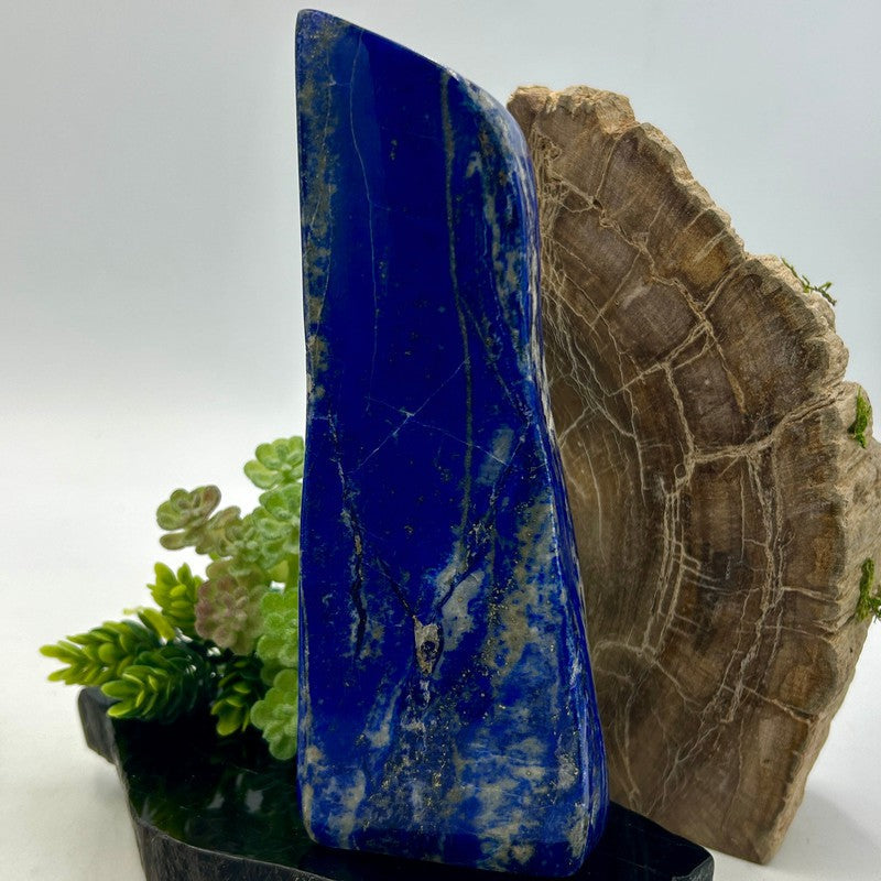 Polished Lapis Lazuli Free Forms || Wisdom, Inner Truth || Pakistan