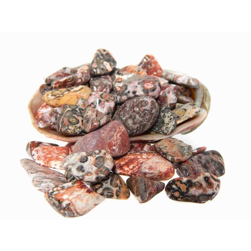 Polished Leopard Skin Jasper Tumbles Small || Energy Balance & Protection || Brazil-Nature's Treasures
