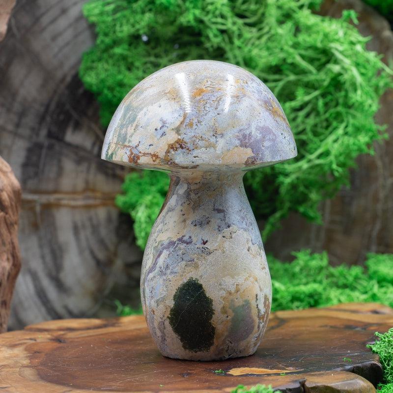 Polished Ocean Jasper Mushroom Carvings || Release Worry