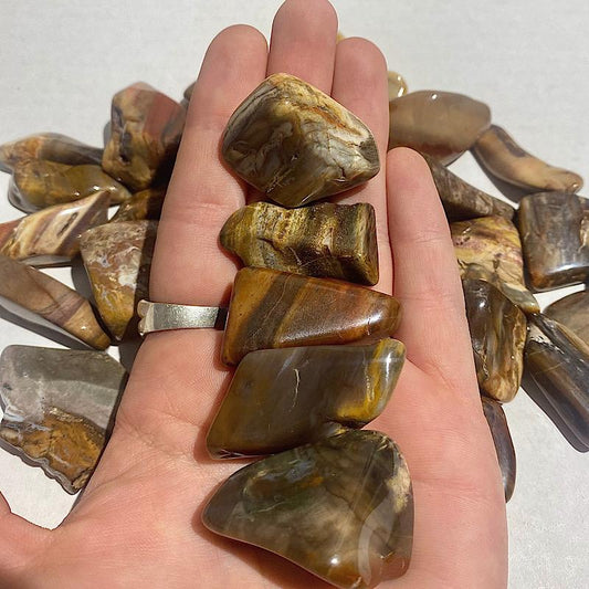 Polished Petrified Wood Tumbled Stones || Past Life Recall & Growth || Madagascar-Nature's Treasures