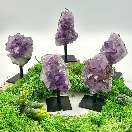 SHOW PRODUCT: Natural Amethyst Clusters On Pins-Nature's Treasures