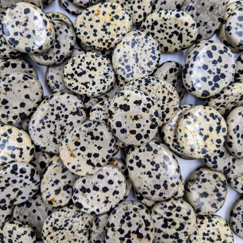 Small Dalmatian Jasper Pocket Flat Stones || Protection