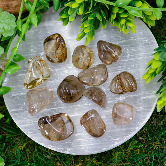 Natural Gemy Light Smoky Quartz Polished Tumbles || Brazil-Nature's Treasures