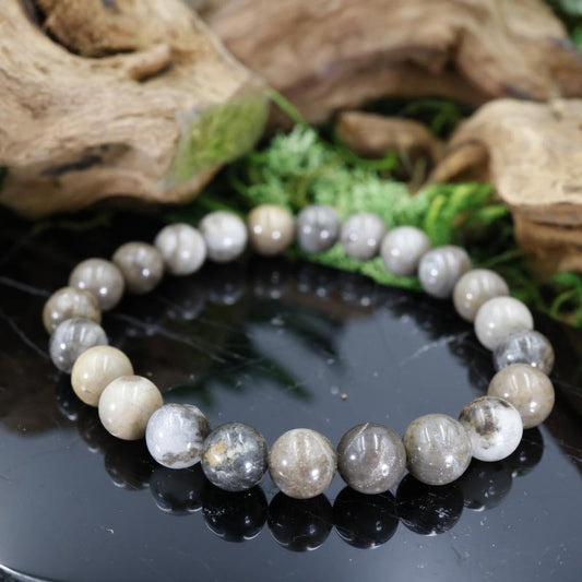 Unisex Gemstone Power Bracelets || Petrified Wood-Nature's Treasures