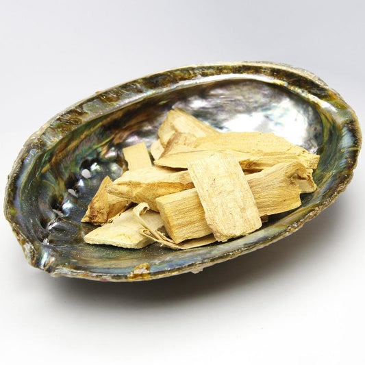 Natural Abalone Shell Bowls- Large 6" || Smudging & Home Decor-Nature's Treasures