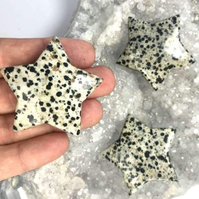 Natural Dalmatian Jasper Star Carvings || Protection, Grounding || Mexico