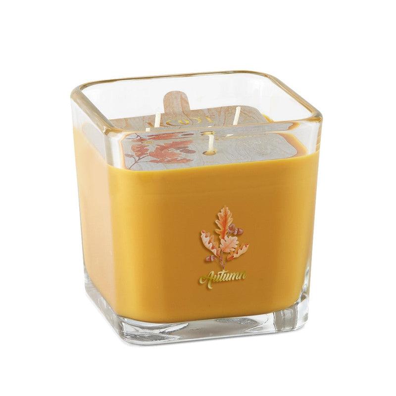 Root Candles Limited Edition Fall Collection || Autumn-Nature's Treasures
