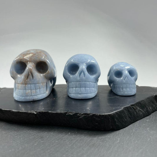 SHOW PRODUCT: Angelite Crystal Skull Carving-Nature's Treasures