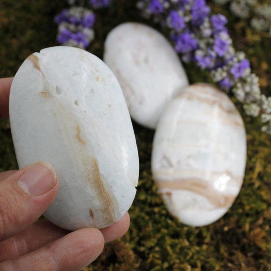 SHOW PRODUCT: Caribbean Aragonite Palm Stone Kalat District, Pakistan-Nature's Treasures