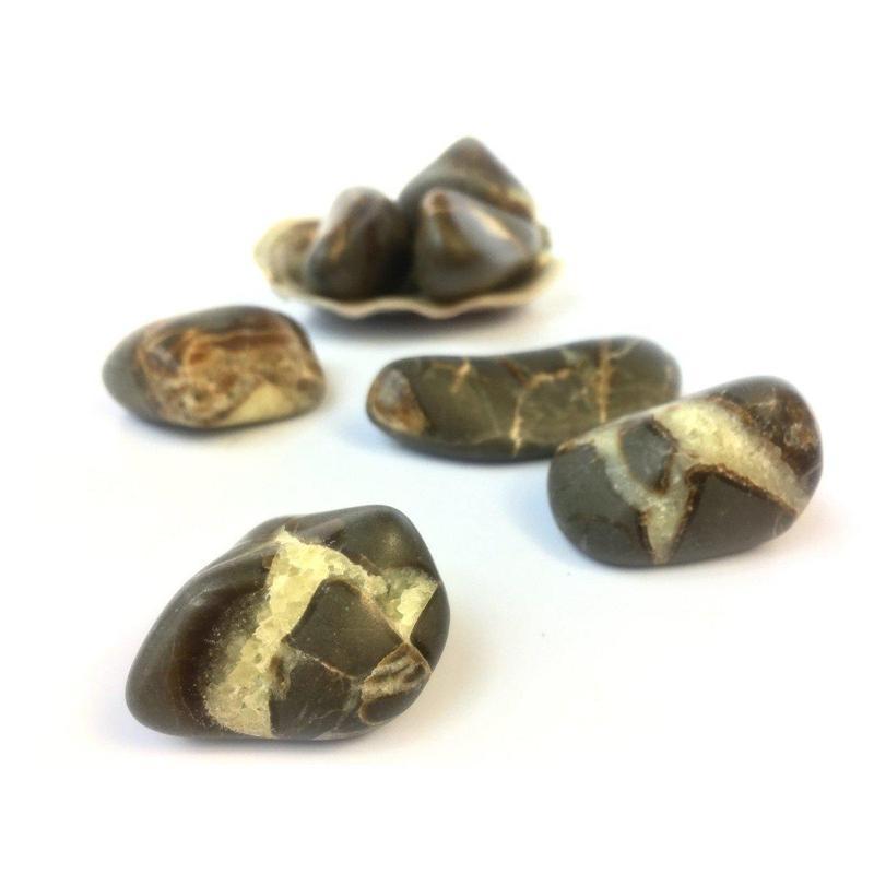 Septarian Tumbled Stone-Nature's Treasures
