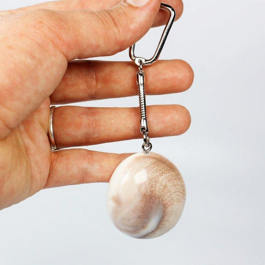 Shiva Eye Keychain-Nature's Treasures