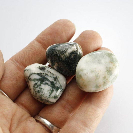 Tree Agate Tumble-Nature's Treasures