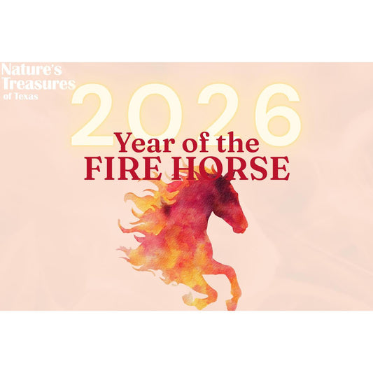 Year of the Fire Horse 2026 - A Time for Action After the Shedding of the 2025 Snake