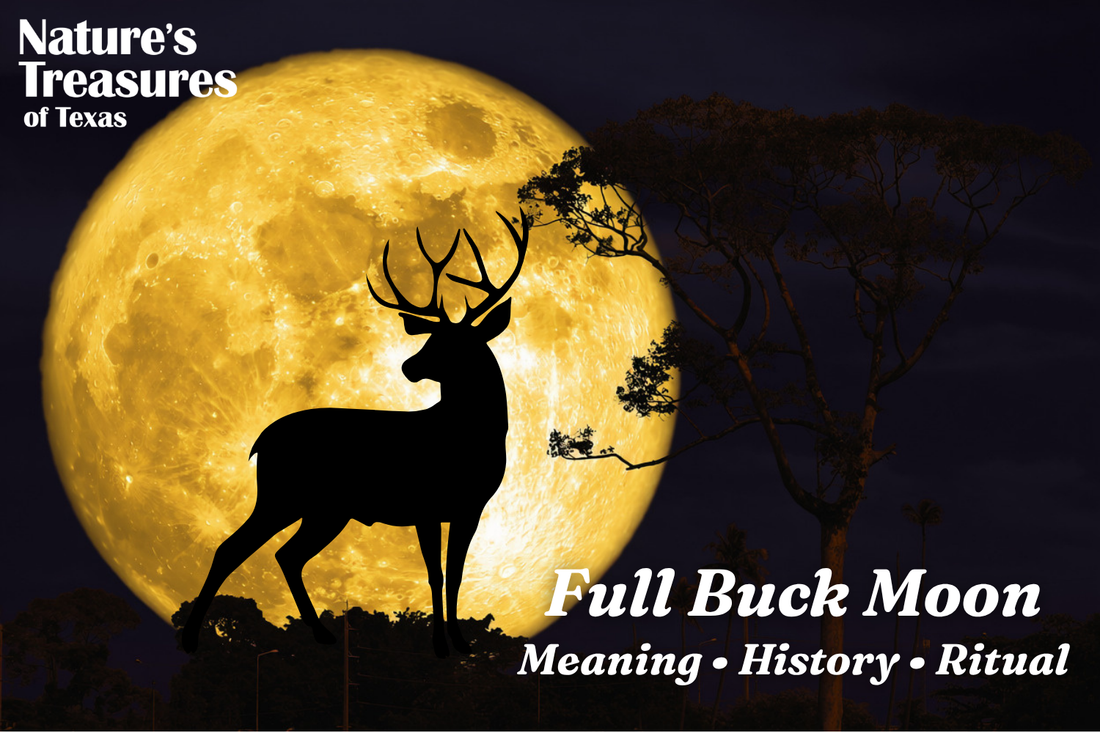 Full Buck Moon: Meaning, History, Ritual