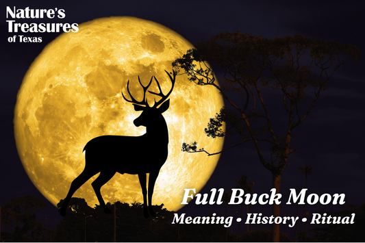 Full Buck Moon: Meaning, History, Ritual