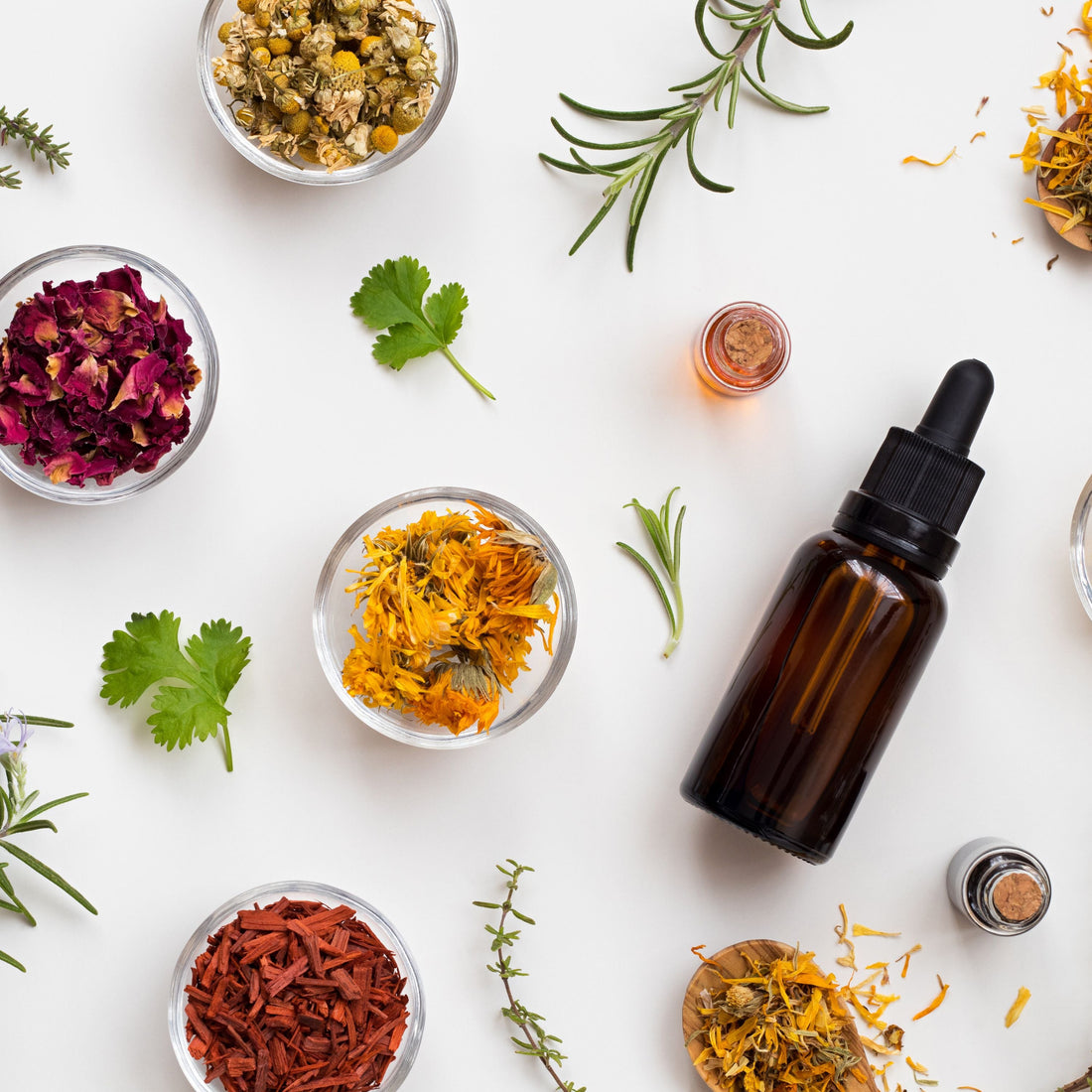 Germ Fighting Essential Oils 101 | Nature's Treasures