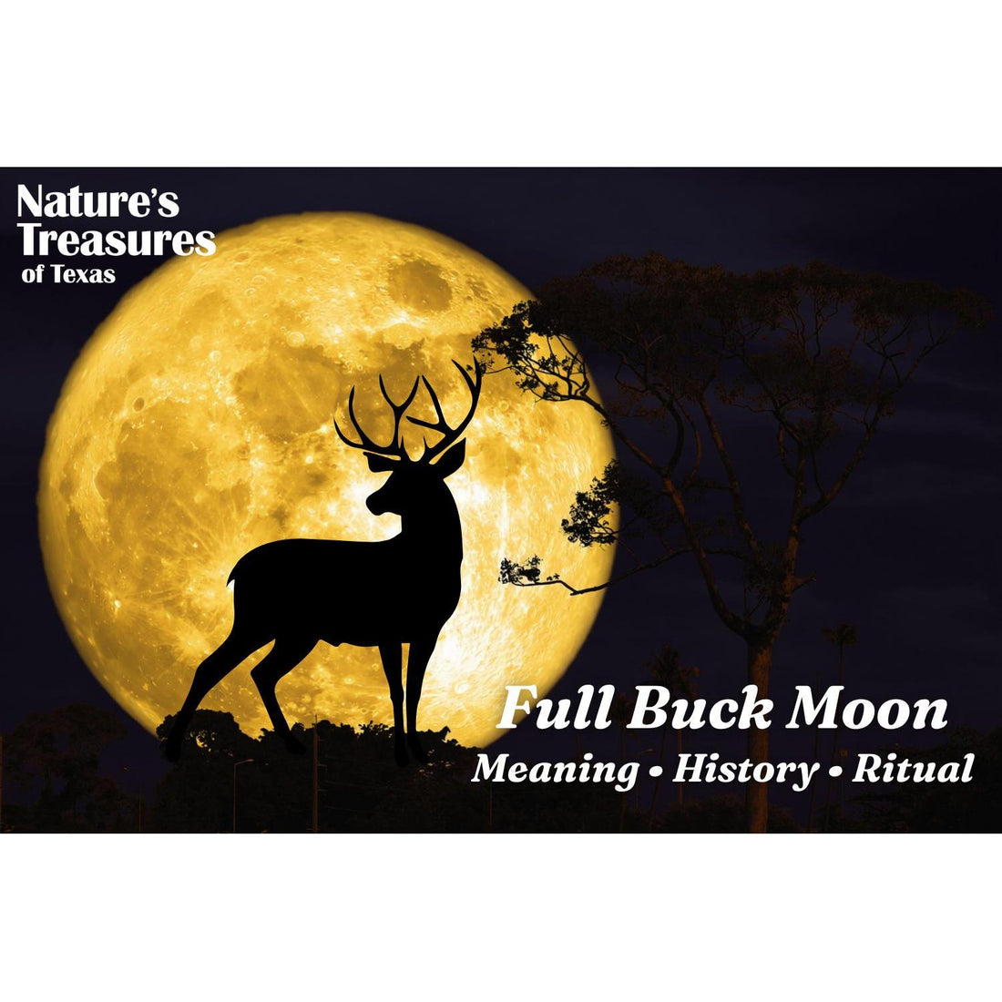 Full Buck Moon: Meaning, History, Ritual