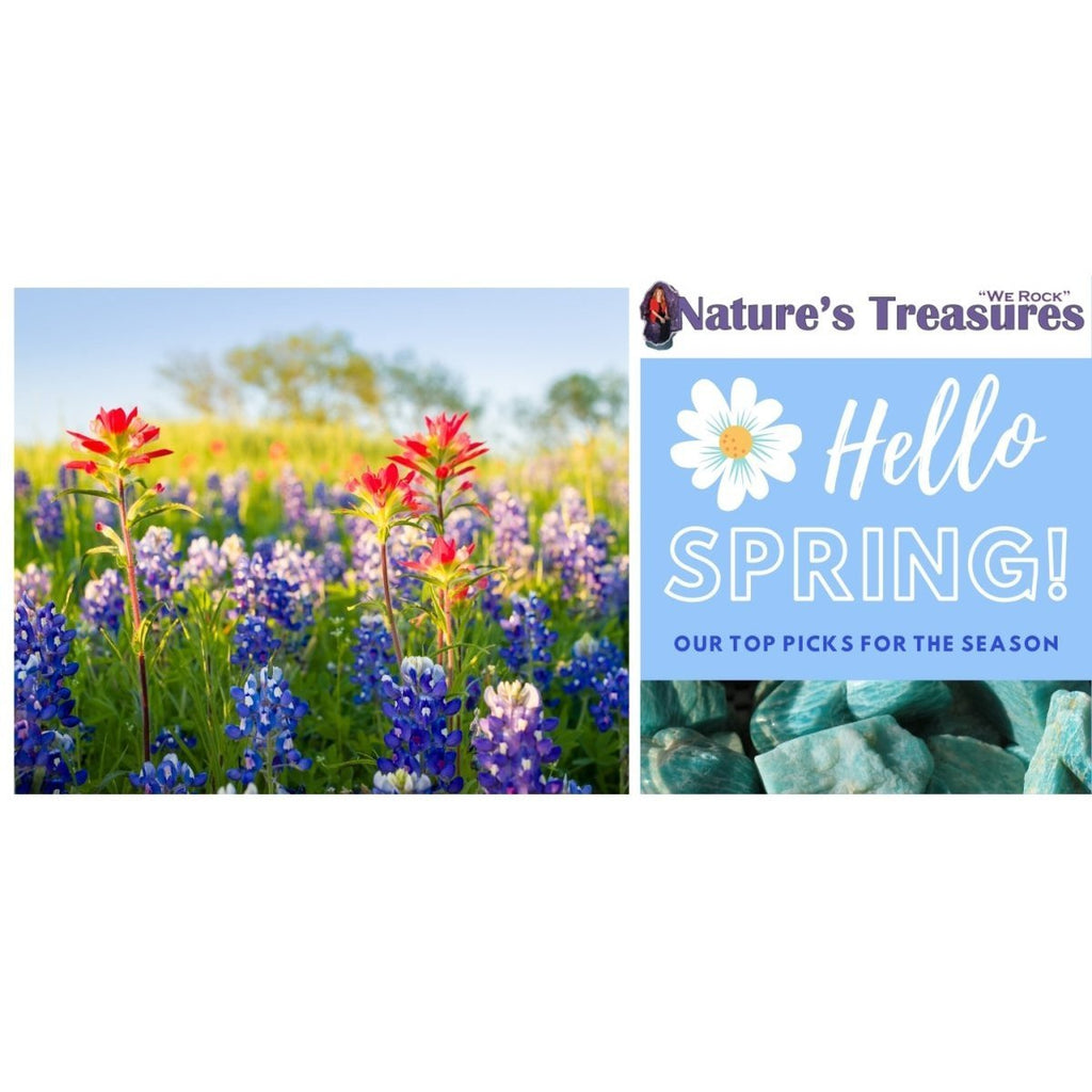 Hello, Spring!  Our Top Picks For The Season | Nature's Treasures