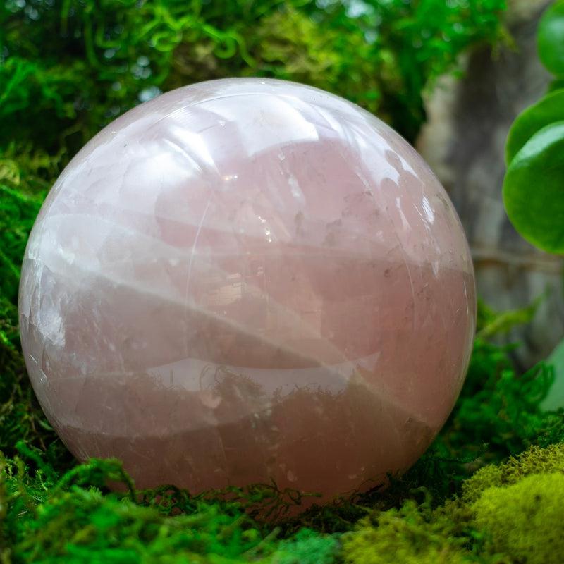 6 Star Rose Quartz Spheres 50 MM To 85 MM || Madagascar-Nature's Treasures
