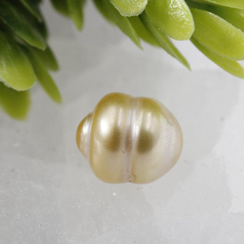 8mm Champagne Pearl Specimen's || Feminine Connections-Nature's Treasures