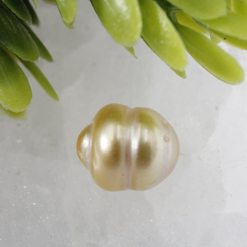 8mm Champagne Pearl Specimen's || Feminine Connections-Nature's Treasures