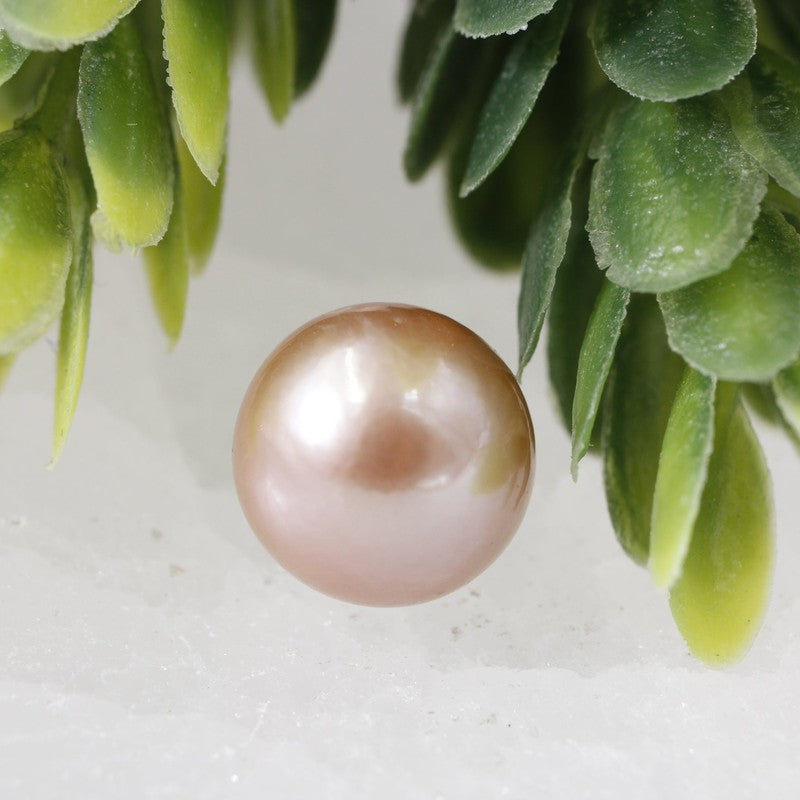 8mm Pink Edison Pearl Specimen's || Spiritual Awakening-Nature's Treasures