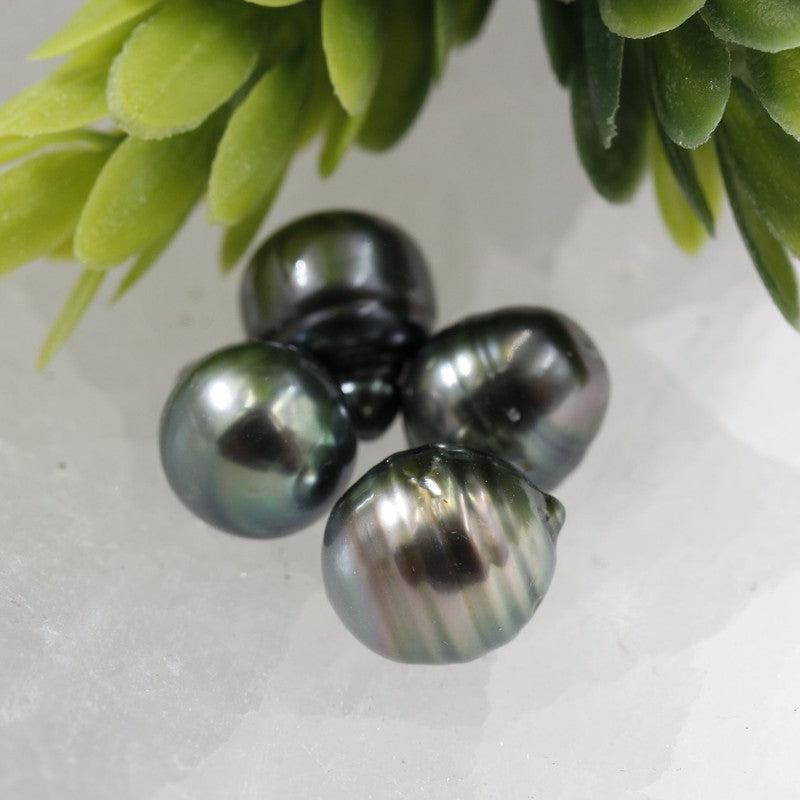 8mm Tahitian Black Pearl Specimen's || Feminine Connections-Nature's Treasures