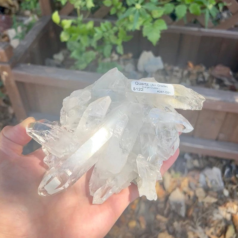 A+ Grade Quartz Cluster Piece || Trunk Show-Nature's Treasures