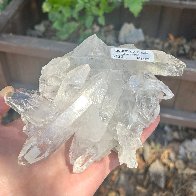 A+ Grade Quartz Cluster Piece || Trunk Show-Nature's Treasures