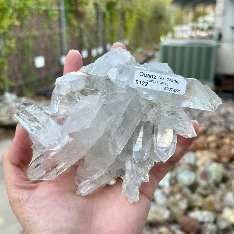 A+ Grade Quartz Cluster Piece || Trunk Show-Nature's Treasures