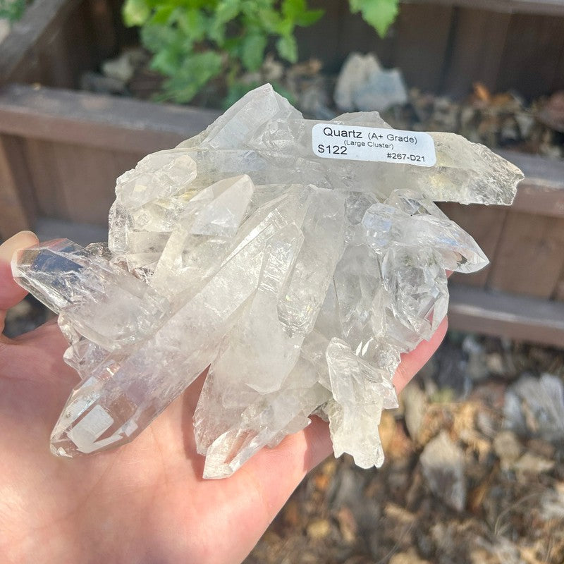 A+ Grade Quartz Cluster Piece || Trunk Show-Nature's Treasures