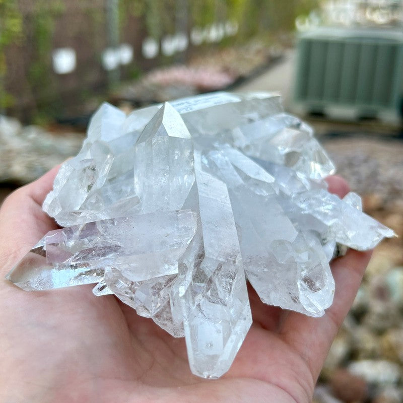 A+ Grade Quartz Cluster Piece || Trunk Show-Nature's Treasures