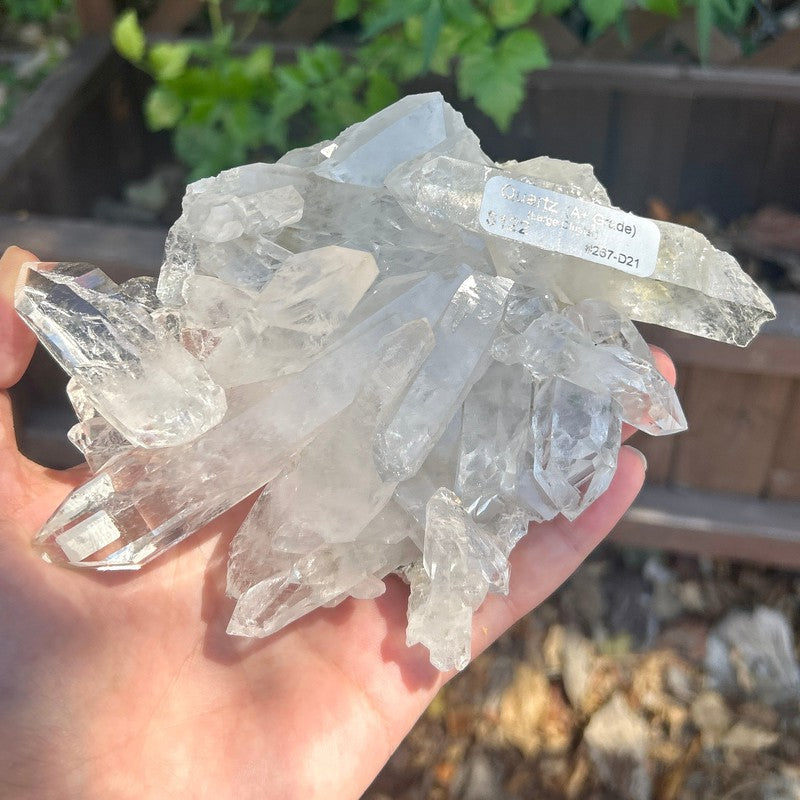 A+ Grade Quartz Cluster Piece || Trunk Show-Nature's Treasures