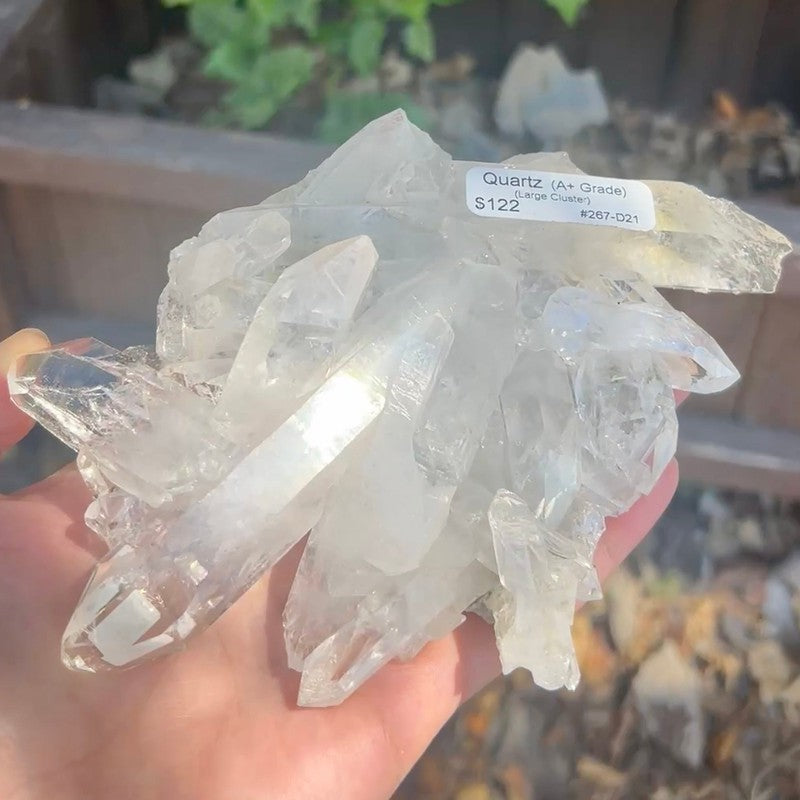 A+ Grade Quartz Cluster Piece || Trunk Show-Nature's Treasures